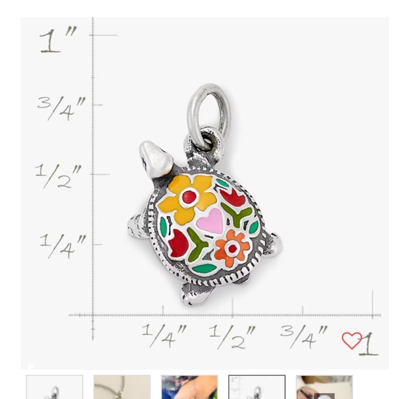 JAMES AVERY TURTLE - Picture 2 of 2